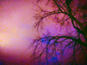 Meet your Posher, Ruby jin